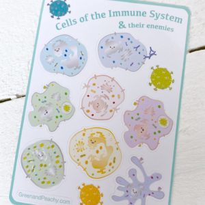 Immune Cell Sticker Sheet (Small)